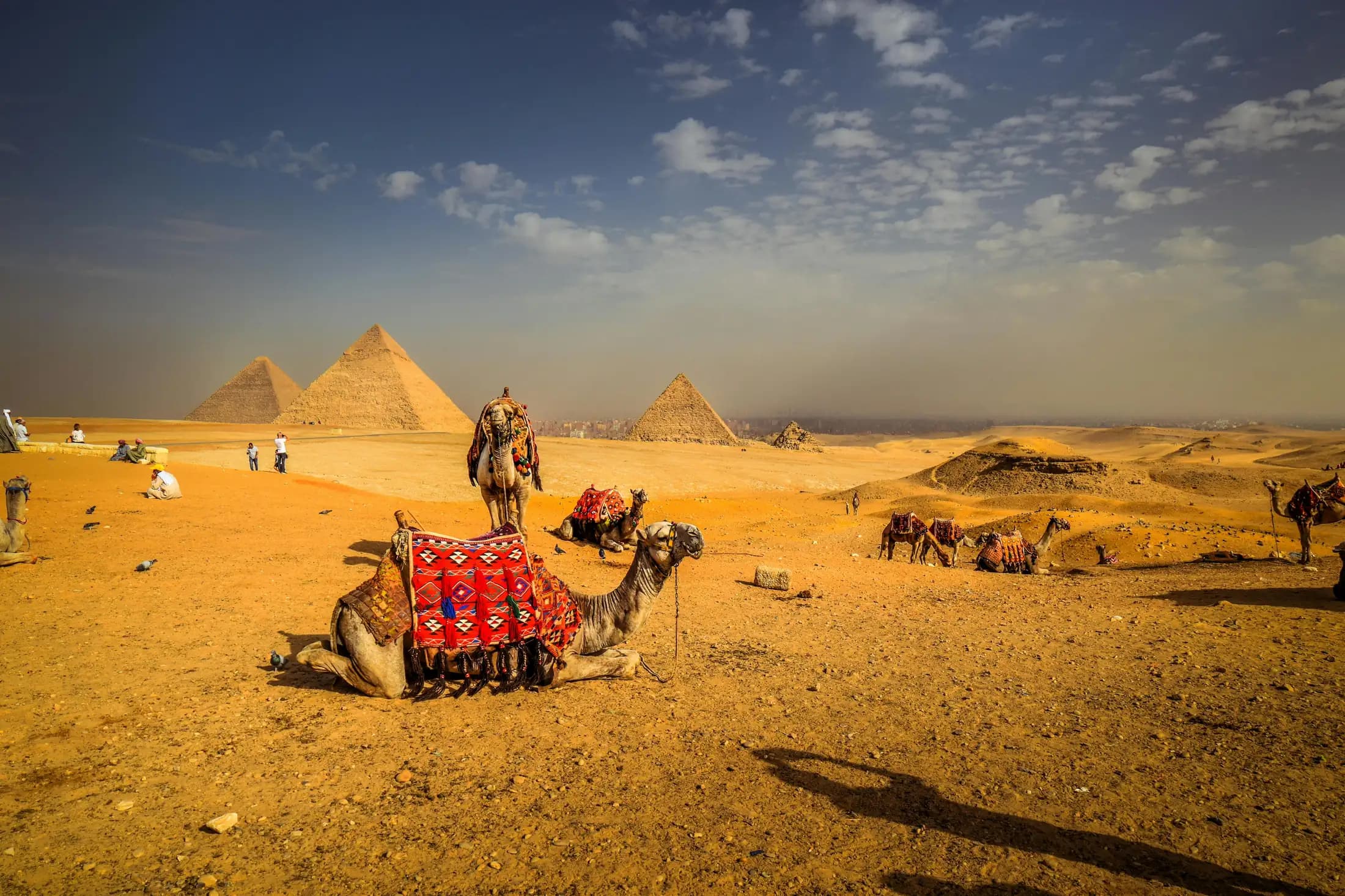 Egyptian landscape